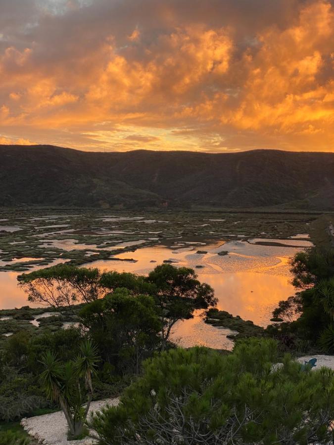 Herdade D' Amoreira アルジェズール エクステリア 写真
